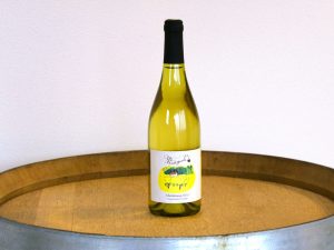 Chardonnay_W_2023