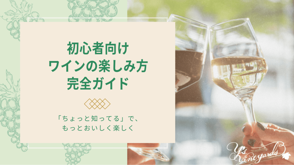 初心者向けワインの楽しみ方完全ガイド