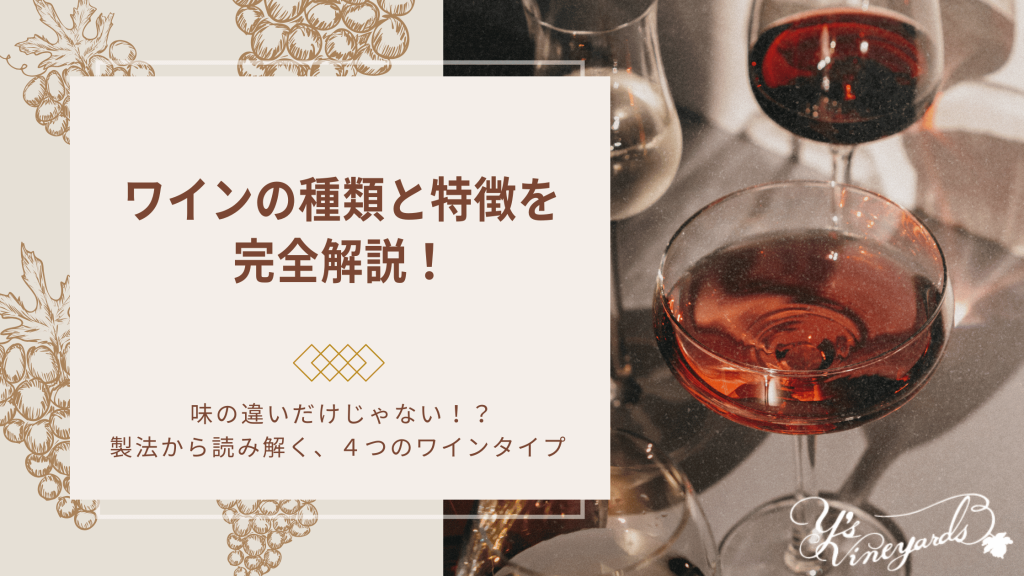 ワインの種類と特徴を完全解説