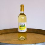 ワイズ・ブラン2023