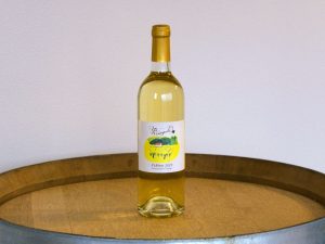 ワイズ・ブラン2023