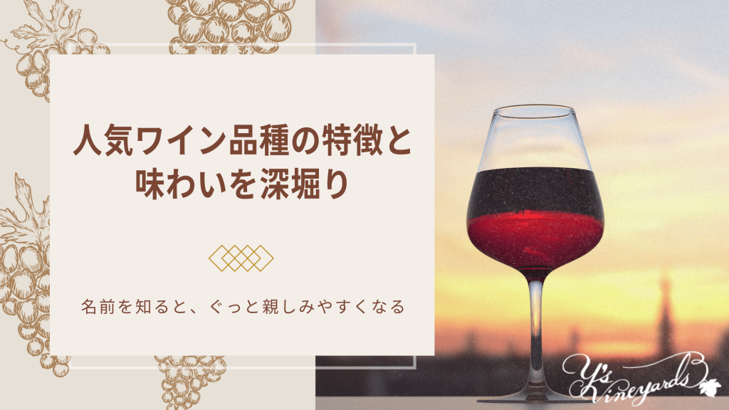 人気ワイン品種の特徴と味わいを深堀り